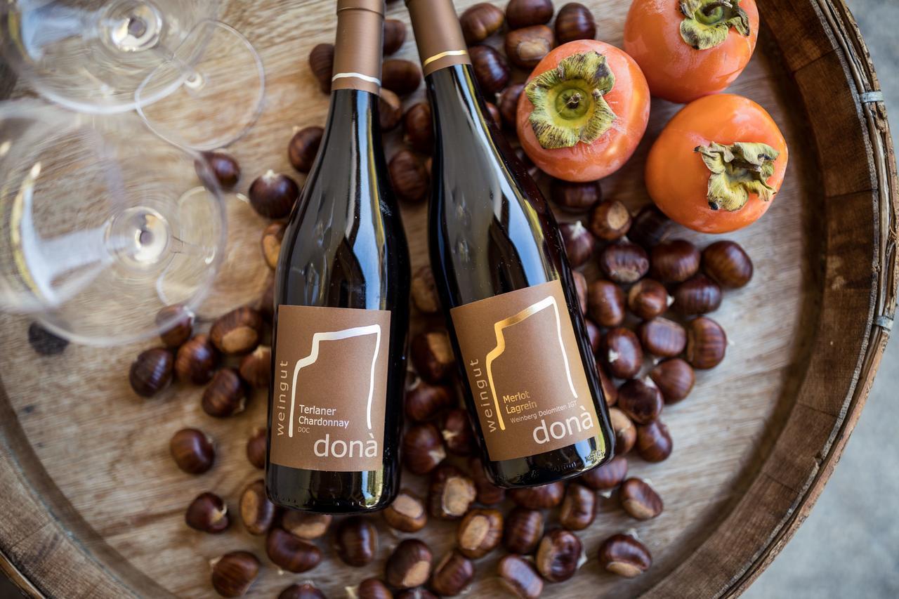 Weingut Dona Villa Appiano Sulla Strada Del Vino Kültér fotó