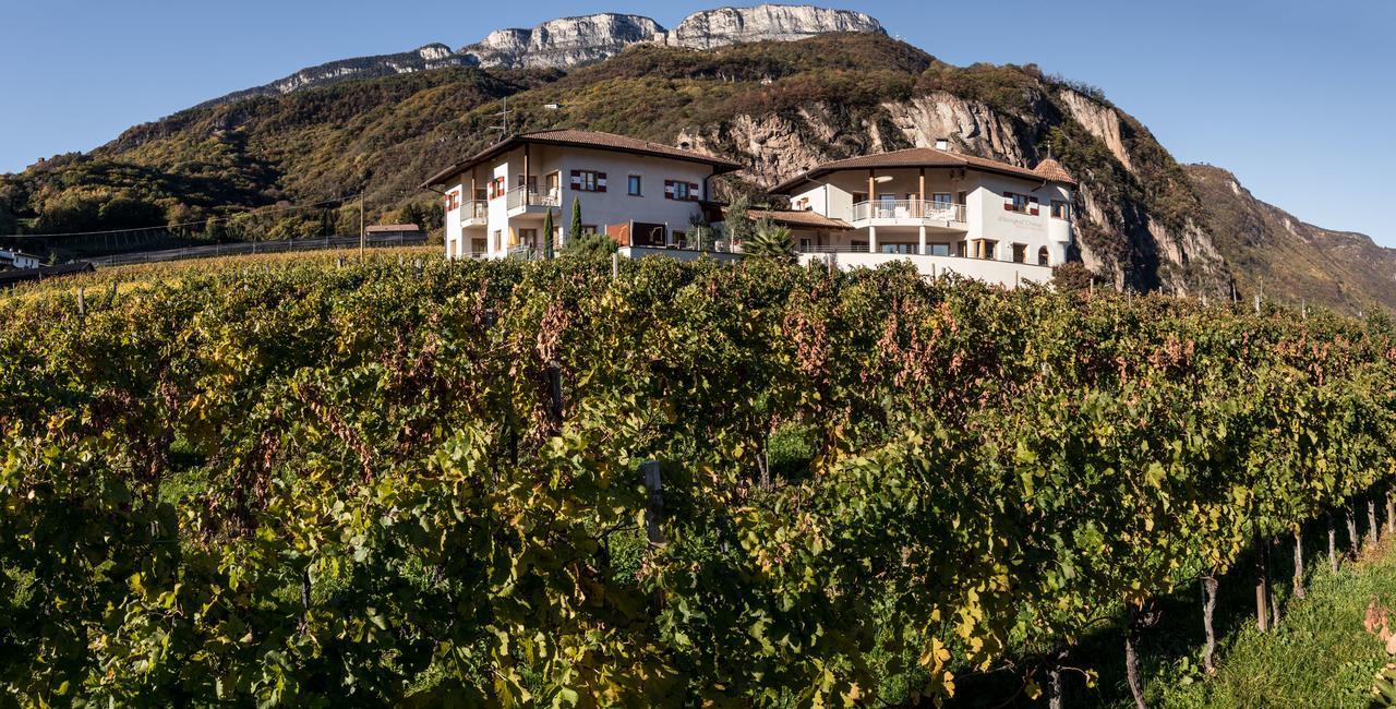 Weingut Dona Villa Appiano Sulla Strada Del Vino Kültér fotó