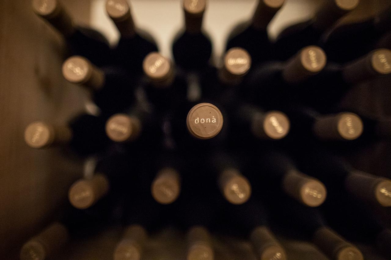 Weingut Dona Villa Appiano Sulla Strada Del Vino Kültér fotó